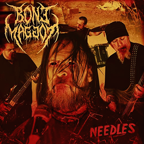 Bone Maggot : Needles